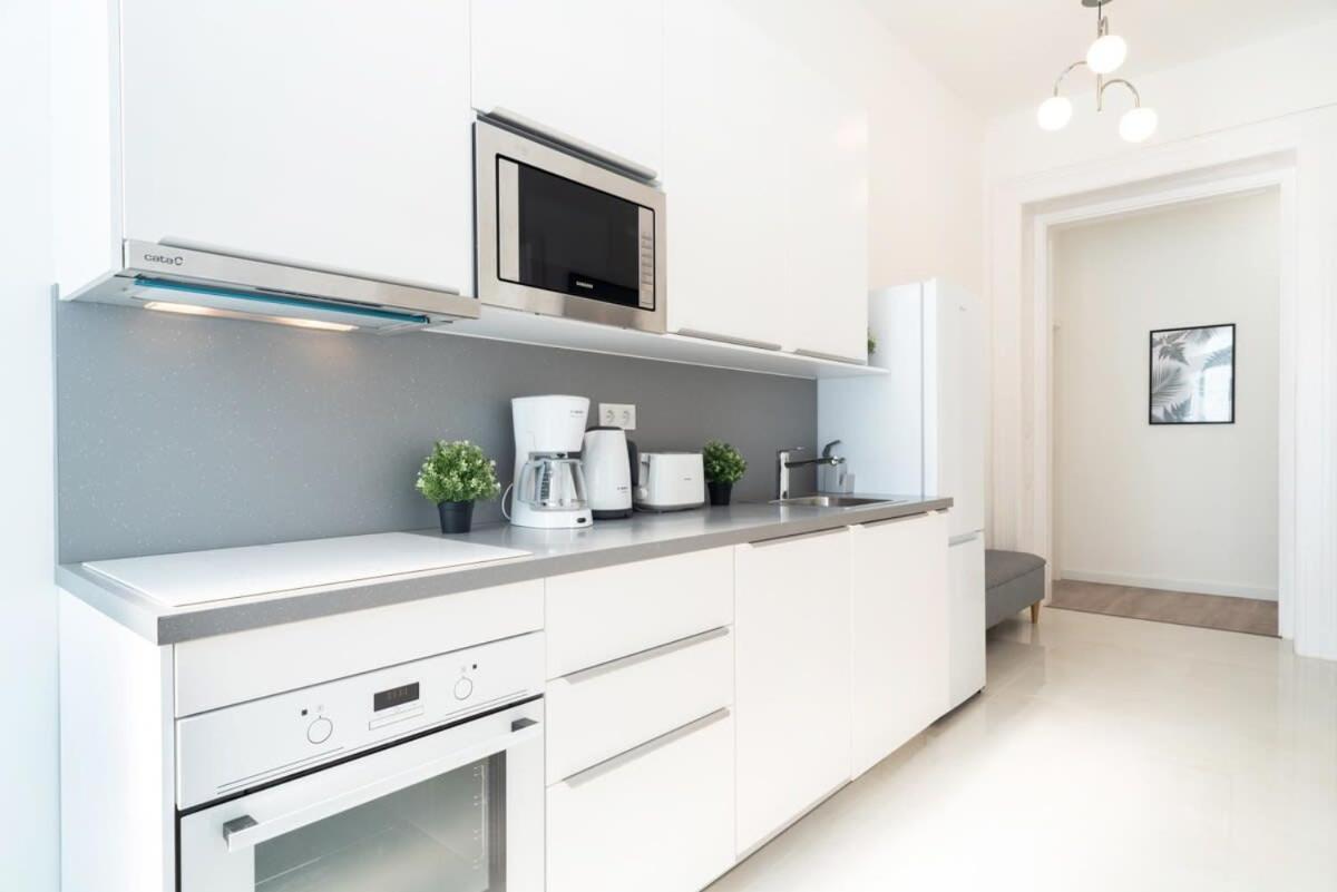 Large Apartment At Perfect Central Location Budapest Extérieur photo